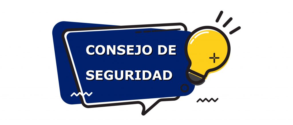 Consejo de seguridad